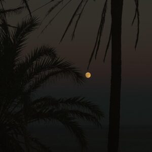 Arón Piper Instagram - Onarev 🌝🌊🌴