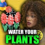 Ariel D. King Instagram – Water the plants! 🌱💦 

Check the full episode on Friday at 4:00 PM!

Who asks:
@brodinicholas
@nickclassick

Guest:
@arieldking
.
.
.
.
#reels #reelsfeed #reelsvideo #watertheplants #self-sufficiency #personalempowerment #spreadgoodsquad #podcast #spreadgoodpodcast #podcastshow #actor #model #strike #selfreflection # #nickordonez #brodinicholas
