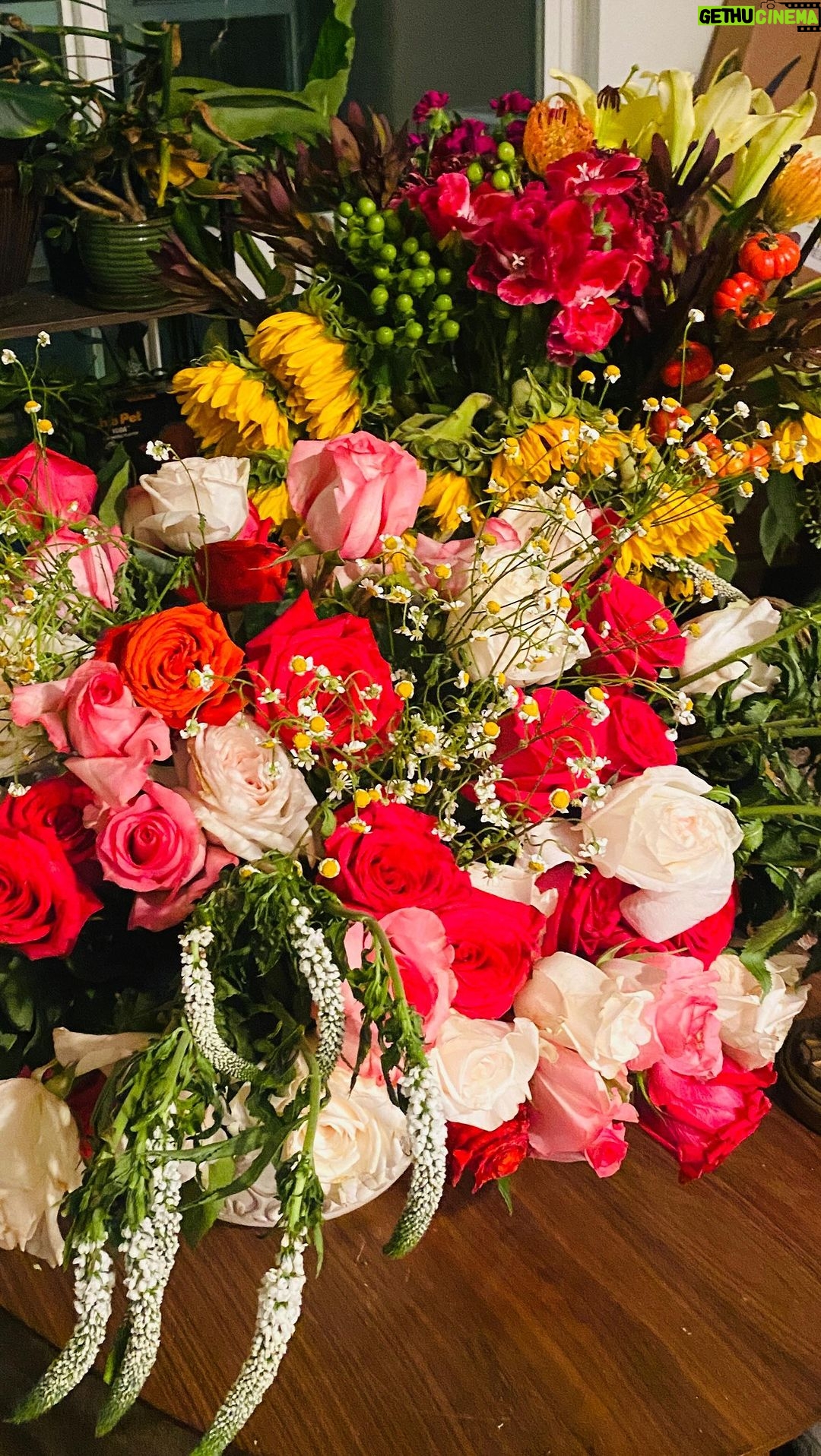Ariel D. King Instagram - Just a plant addict luxuriously rearranging and saving the flowers๐ #volunteer #sustainability #flowerstagram #flowerarrangement @hollywoodfoodco โ๏ธ๐๐คญ๐