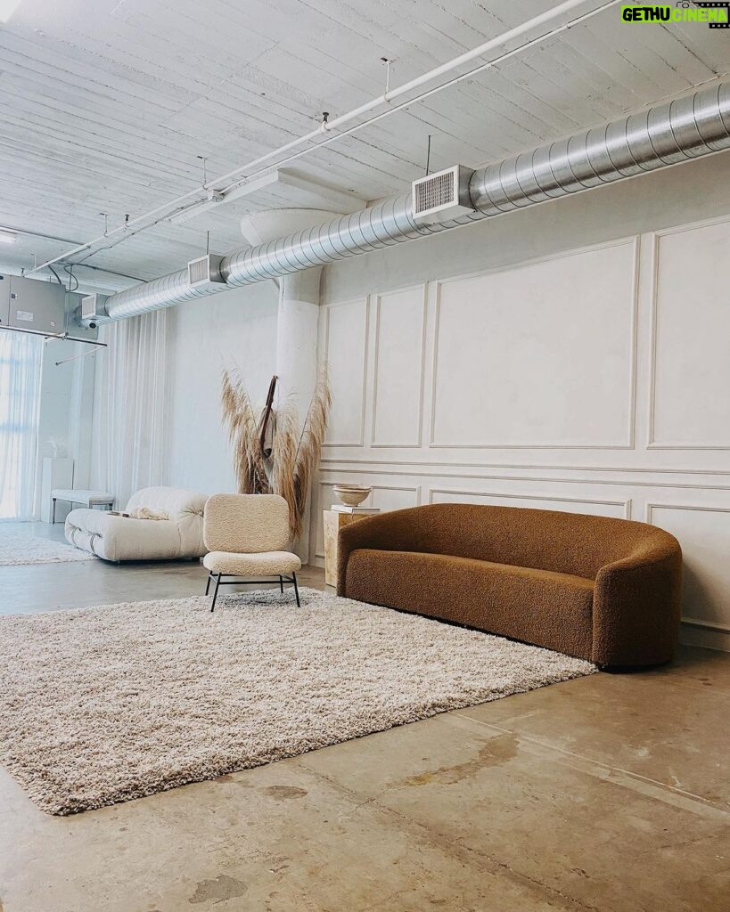 Ariel D. King Instagram - Personally I love jewel tones but this is such a soothing interior! Great pick! I wonder what @archdigest would think? #interiordesign #bohodecor #midcenturymodern #architecturaldigest #interior #interiorinspo #furrycouch #luxuryinteriors #browncouch #pastelinterior #shagcarpet #shagcouch Los Angeles, California