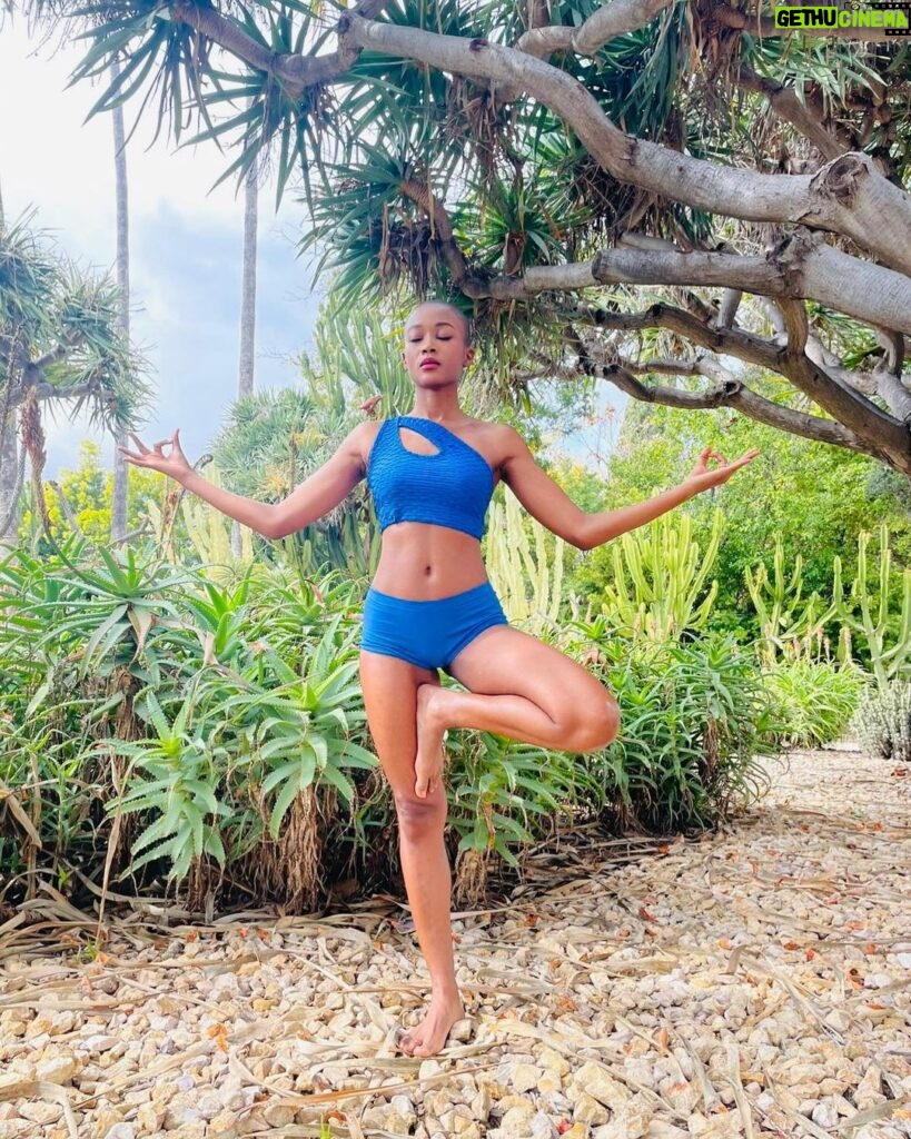 Ariel D. King Instagram - I’ll be over here getting my zen warrior on @shop.zenwarrior #peace #nature #zen #yoga #baldgirl Los Angeles, California
