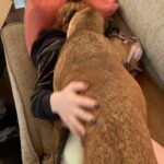 Ariel Winter Instagram - this is what time to yourself looks like as a dog mom me: I’m gonna take a quick nap dogs: yay we’re gonna take a quick nap #dogsofinstagram