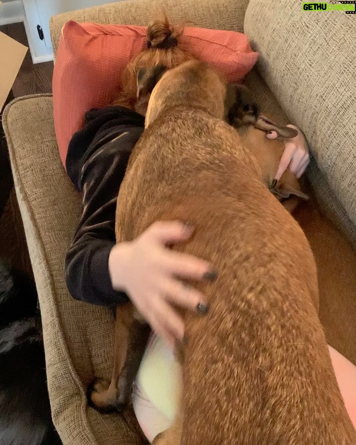 Ariel Winter Instagram - this is what time to yourself looks like as a dog mom me: I’m gonna take a quick nap dogs: yay we’re gonna take a quick nap #dogsofinstagram
