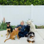 Ariel Winter Instagram - These 5 have my ❤️❤️❤️❤️❤️ Anyone else absolutely obsessed with their furkids and feel like sharing? Tag meeee I wanna seeeeee their sweet faces😍 Extra 🎉 if you have a pittie or pittie mix or a rescue story 😍😍😍😍 #dogsofinstagram #dogs #dogsofinsta #dogmom #pitbull #adoptdontshop #adopt #rescuedogsofinstagram #rescue #myheart #rescuedog Los Angeles, California
