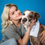 Ariel Winter Instagram - Sweet, ADOPTABLE Ofelia (7years 55lbs) & I will be on @nbccalive @_kimcaldwell tomorrow promoting one of my favorite rescues @wagsandwalks, my favorite breed #pittie and #adoptdontshop !!!! Tune in 11:30am PST to see the most loving girl in the whole world! Thank you @charlienunnphotography for your work with me & Ofelia, and always doing what you can to help deserving pups like her find their forever homes! Swipe to see me smother her with kisses and a video at the end showing just how much of a cozy girl she is🥰 go to wagsandwalks.org to find out more information regarding fostering, donating, ADOPTINGGGG and more❤️ #pitbull #pitbulls #pitbullsofinstagram #adoptdontshop #rescuedog #rescuedogsofinstagram #nbc #dogphotography #news #love #adoptme Wags and Walks