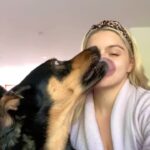 Ariel Winter Instagram - TELL YOUR DOGS WE SAID HI!!!!!!!!!!! Happy #nationaldogday from me + the furbabies😍🥰🐶 life is ruff😉 right now so...GO ADOPT YOUR FUTURE BEST FRIEND & GET TO CUDDLING 😍🥰 #adopt #adoptdontshop #dogsofinstagram #dogs #love #furbaby #puppylove
