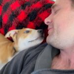 Ariel Winter Instagram - Happy birthday my love! 27 looks good on you😍 You are such a wonderful man and I am beyond grateful we get to do life together. So excited for this new chapter with you poots🥹❤️Thank you for being the extra special man + dog dad you are. We love you more than you know! 🎶lucky to be in love with my best friend🎶💞 @labenward
