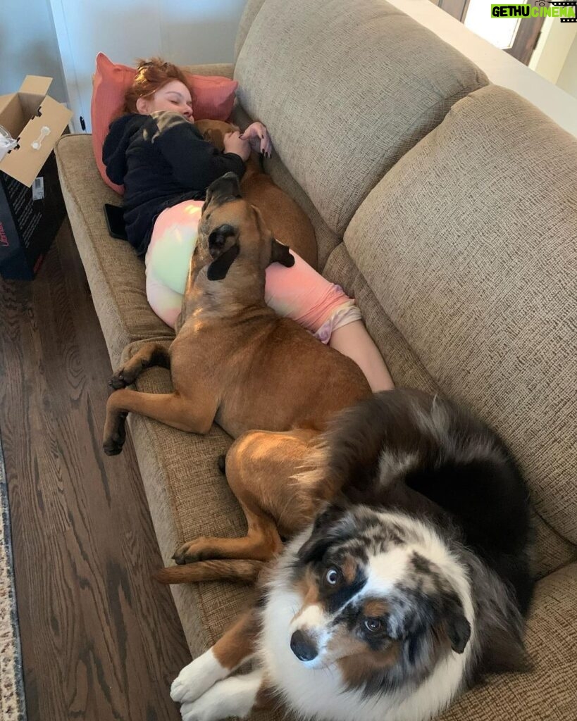 Ariel Winter Instagram - this is what time to yourself looks like as a dog mom me: I’m gonna take a quick nap dogs: yay we’re gonna take a quick nap #dogsofinstagram