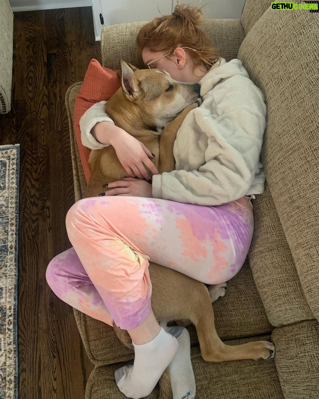 Ariel Winter Instagram - this is what time to yourself looks like as a dog mom me: I’m gonna take a quick nap dogs: yay we’re gonna take a quick nap #dogsofinstagram