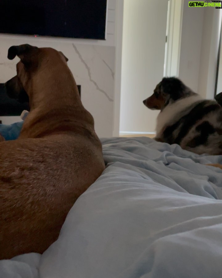 Ariel Winter Instagram - hear me out…real dog moms of LA Los Angeles, California