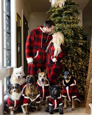 Ariel Winter Instagram - ❤️❄️Merry Christmas❄️❤️ 

🐶

#merrychristmas #2022 #dogsofinstagram #dogs #dogstagram #family