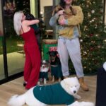 Ariel Winter Instagram - Christmas 2020 🥰 #grateful