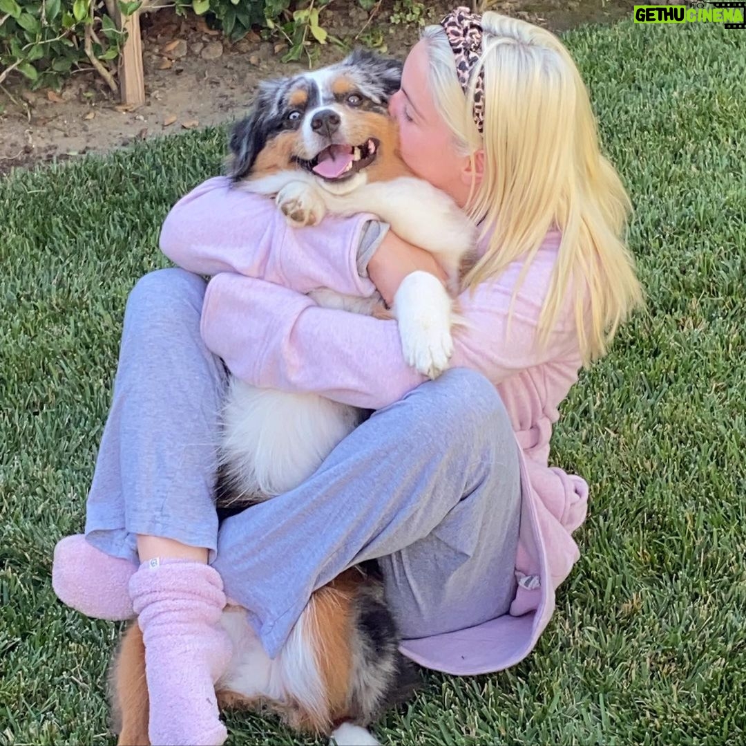 Ariel Winter Instagram - TELL YOUR DOGS WE SAID HI!!!!!!!!!!! Happy #nationaldogday from me + the furbabies😍🥰🐶 life is ruff😉 right now so...GO ADOPT YOUR FUTURE BEST FRIEND & GET TO CUDDLING 😍🥰 #adopt #adoptdontshop #dogsofinstagram #dogs #love #furbaby #puppylove