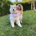 Ariel Winter Instagram - TELL YOUR DOGS WE SAID HI!!!!!!!!!!! Happy #nationaldogday from me + the furbabies😍🥰🐶 life is ruff😉 right now so...GO ADOPT YOUR FUTURE BEST FRIEND & GET TO CUDDLING 😍🥰 #adopt #adoptdontshop #dogsofinstagram #dogs #love #furbaby #puppylove