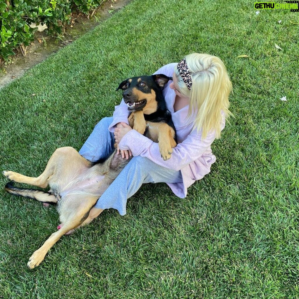 Ariel Winter Instagram - TELL YOUR DOGS WE SAID HI!!!!!!!!!!! Happy #nationaldogday from me + the furbabies😍🥰🐶 life is ruff😉 right now so...GO ADOPT YOUR FUTURE BEST FRIEND & GET TO CUDDLING 😍🥰 #adopt #adoptdontshop #dogsofinstagram #dogs #love #furbaby #puppylove