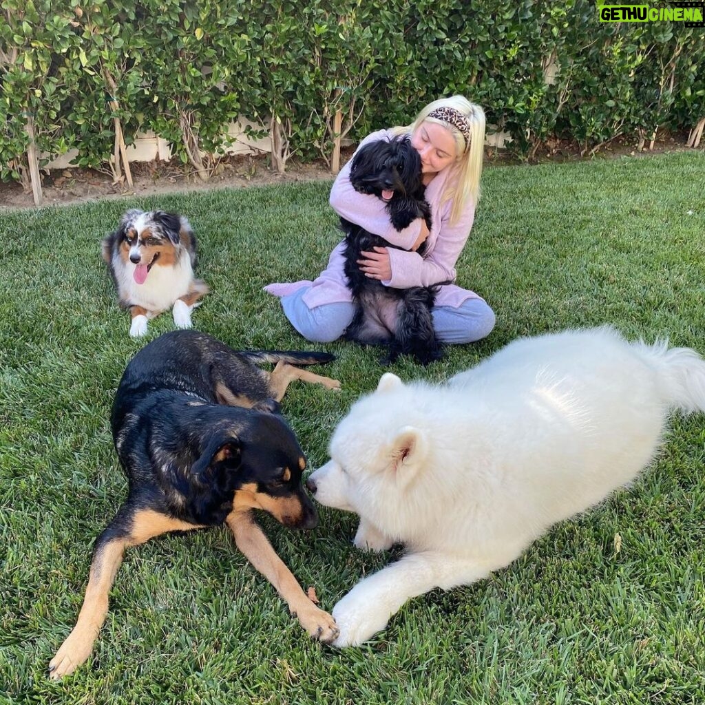 Ariel Winter Instagram - TELL YOUR DOGS WE SAID HI!!!!!!!!!!! Happy #nationaldogday from me + the furbabies😍🥰🐶 life is ruff😉 right now so...GO ADOPT YOUR FUTURE BEST FRIEND & GET TO CUDDLING 😍🥰 #adopt #adoptdontshop #dogsofinstagram #dogs #love #furbaby #puppylove