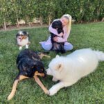 Ariel Winter Instagram - TELL YOUR DOGS WE SAID HI!!!!!!!!!!! Happy #nationaldogday from me + the furbabies😍🥰🐶 life is ruff😉 right now so...GO ADOPT YOUR FUTURE BEST FRIEND & GET TO CUDDLING 😍🥰 #adopt #adoptdontshop #dogsofinstagram #dogs #love #furbaby #puppylove