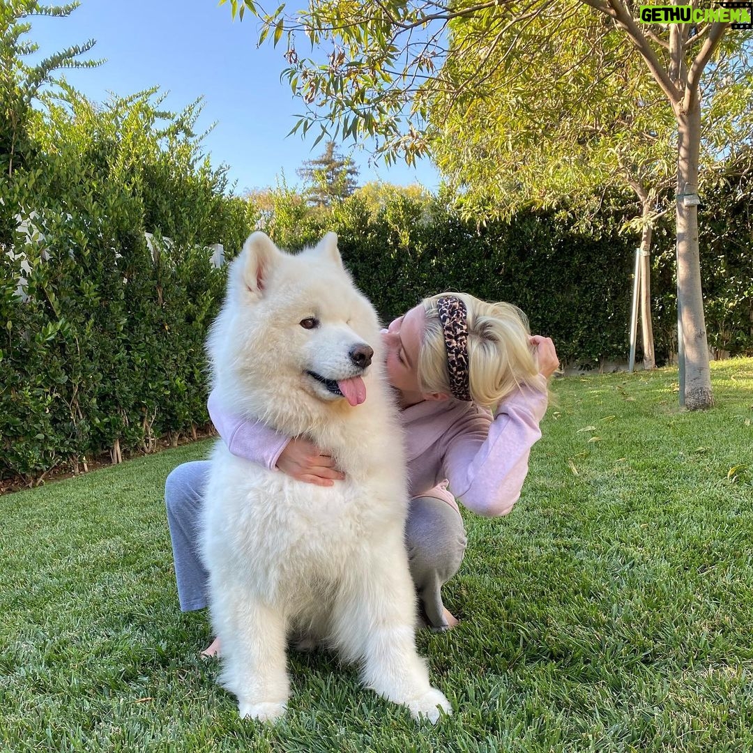 Ariel Winter Instagram - TELL YOUR DOGS WE SAID HI!!!!!!!!!!! Happy #nationaldogday from me + the furbabies😍🥰🐶 life is ruff😉 right now so...GO ADOPT YOUR FUTURE BEST FRIEND & GET TO CUDDLING 😍🥰 #adopt #adoptdontshop #dogsofinstagram #dogs #love #furbaby #puppylove