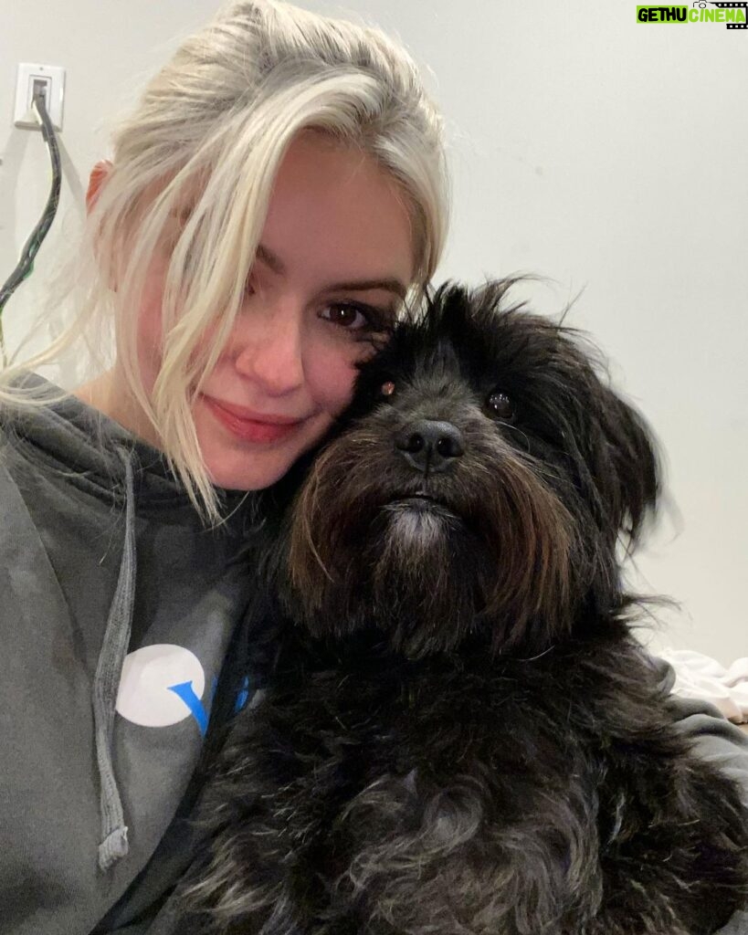 Ariel Winter Instagram - went from swimming to a surprise meet and greet with Chewbacca swipe to see the pics😍 my personal fav is pic 4 jussssst saying #chewbacca #starwars #chewbaccadog #rescuedogsofinstagram #rescue #mybaby #rescuedog #dog #dogsofinstagram #quarantinelife @americanhumane