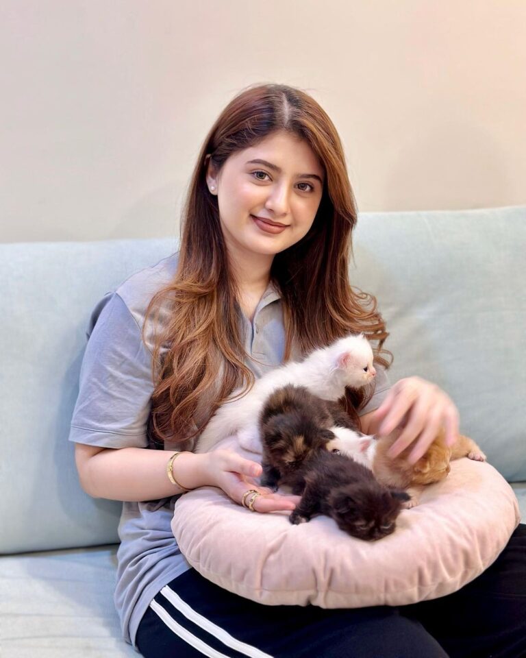Arishfa Khan Instagram - Spending time with my cuties🫶🏻❤️🥺🌎 They are 1 month old now (26 dec)🥹 @arishfa.petsss #catsofinstagram #kittens #animalhumanbond