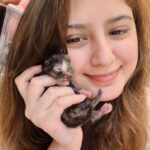 Arishfa Khan Instagram - New family members❤️🥺 Say “MASHALLAH” in the comments! They are just 3 days born babies😍 Omg😳 now i have 9 cats 🐈 Allah bless them🤲🏻