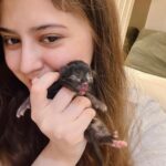 Arishfa Khan Instagram - New family members❤️🥺 Say “MASHALLAH” in the comments! They are just 3 days born babies😍 Omg😳 now i have 9 cats 🐈 Allah bless them🤲🏻