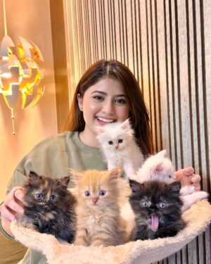 Arishfa Khan Instagram - Happy 2 months my little babies❤️🐾
You’ll are my life🫀🥺 (26.01.2024)

#kittens #catsofinstagram #2monthscomplete