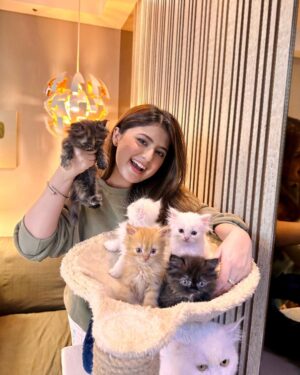 Arishfa Khan Instagram - Happy 2 months my little babies❤️🐾
You’ll are my life🫀🥺 (26.01.2024)

#kittens #catsofinstagram #2monthscomplete