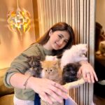 Arishfa Khan Instagram – Happy 2 months my little babies❤️🐾
You’ll are my life🫀🥺 (26.01.2024)

#kittens #catsofinstagram #2monthscomplete