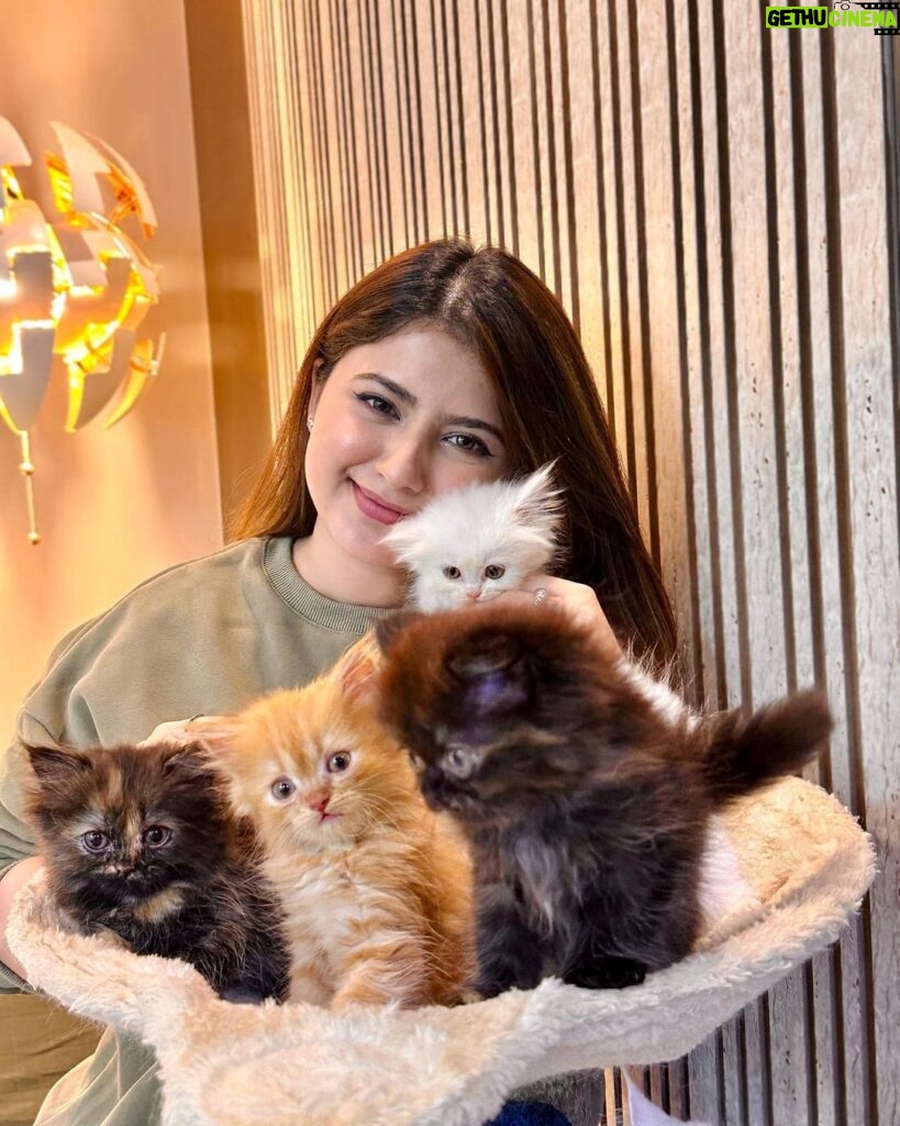 Arishfa Khan Instagram - Happy 2 months my little babies❤️🐾 You’ll are my life🫀🥺 (26.01.2024) #kittens #catsofinstagram #2monthscomplete