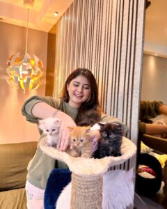 Arishfa Khan Instagram - Happy 2 months my little babies❤️🐾 You’ll are my life🫀🥺 (26.01.2024) #kittens #catsofinstagram #2monthscomplete