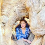 Arleth Terán Instagram - *EN DÓNDE SE UBICA TU VIDA AQUÍ EN LA TIERRA* Ninguno de nosotros tiene muchos años para vivir, no podemos llevarnos nada cuando nos vayamos, debemos ser ahorrativos pero sin sacrificar nuestro bienestar. Gasta el dinero que deba ser gastado, disfruta lo que deba ser disfrutado, dona lo que te sea posible, pero no les dejes todo a tus hijos o a tus nietos, porque no querrás que se vuelvan unos parásitos esperando el día en que mueras. No te preocupes de lo que pasará cuando te hayas ido, porque cuando te vuelvas polvo, no sentirás si te alaban o te critican. El tiempo para disfrutar la vida es este mundo y la riqueza que tan difícilmente ganaste debes gozarla! No te preocupes mucho por tus hijos, porque ellos tendrán su propio destino y encontrarán su propio camino. No seas el esclavo de tus hijos. Cuídalos, ámalos, consiéntelos, pero también disfruta tus recursos financieros mientras puedas. La vida debe tener más cosas que trabajar desde la cuna hasta la tumba. No esperes mucho de tus hijos. Los hijos que se preocupan por sus padres, también están continuamente ocupados con sus trabajos y compromisos, con su propia vida. Muchos hijos que no se preocupan de sus padres, pelearán por sus bienes aún cuando todavía estén vivos y desearán que pronto dejen esta vida para poder heredar sus propiedades y riqueza. Para los que ya tienen 50 años o más, no intercambien su salud por la riqueza trabajando demás, no sea que caven una temprana sepultura. De mil hectáreas de siembra de arroz, sólo puedes consumir 3/4 taza de diario; de mil mansiones, sólo necesitas un espacio de 8 metros cuadrados para descansar por las noches. Así que, siempre y cuando tengas suficiente alimento y dinero para gastar, no necesitas más, es suficiente. Debes vivir feliz. Cada familia tiene sus propios problemas. No te compares con otros midiendo tu fama y status social, o para ver los hijos de quién tienen más éxito, etc., en lugar de éso, reta a otros a que logren felicidad, salud, gozo, calidad de vida y vivir más tiempo. Acepta las cosas que no puedes cambiar, si te preocupas demasiado puedes estropear tu salud. Debes crear t