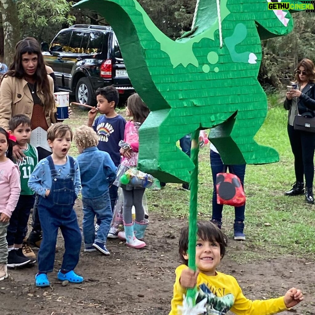 Arleth Terán Instagram - A sí de bonito y divertído el festejo de 4 añitos de mi @leonalexanderlaet lleno de amor, apapachado, felíz, con una piñata diseñada especialmente para él de @larisa_desing @queren.dona nos hizo unos diseños espectaculares de dinosaurios 🦖 que fueron un éxito con todo mundo ! 🥳🦁 🎂 🎊🪅#amigos #familia #hijos #infanciafeliz #papás #cumpleañosfeliz Mexico City, Mexico
