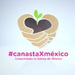 Arleth Terán Instagram - Quiero contarles que estos productores orgullosamente mexicanos tienen esta gran variedad de productos de la mejor calidad y te la llevan hasta la puerta de TU CASA para que puedas gozar de estos sagrados alimentos para que #nosalgas. El día de ayer recibí mi canasta y quería compartirles este Tip para que se cuiden y cuiden a su familia. Al adquirir una @canastaXMexico estás ayudando y que consumiendo productos locales y así ayudas a que tu economía se mueva y que MEXICO sea más fuerte. Unidos podemos lograrlo. #consumeproductosmexicanos #gracias @canastaxmexico Mexico City, Mexico