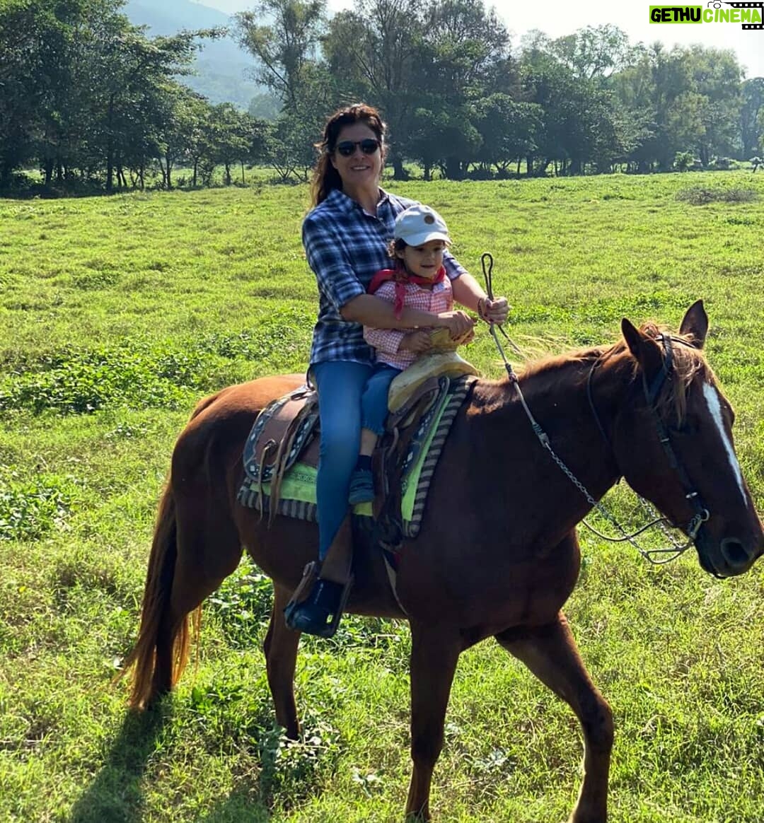 Arleth Terán - 2.6K Likes - Una de mis grandes pasiones es hacer largas cabalgatas y que mejor compañía que @leonalexanderlaet quien heredó mi gusto por los caballos. Esta es otra relajante actividad que se puede realizar en @haciendadelosmarcos lugar precioso donde nos hospedamos en #lahuastecaPotosína muy agradecida por todas sus atenciones GRACIAS @andypanda___ @analucilagr por todas tus atenciones, Adriana y Jesús nos consintieron mucho. 😘 ♥️ 🏇🇲 🇽@ivanfloresfoto @turismovalles