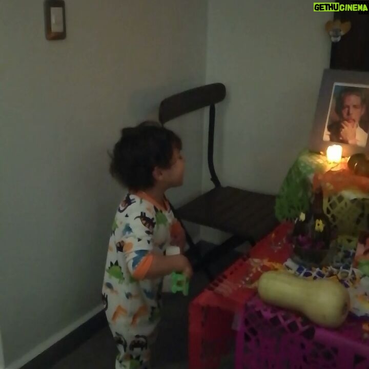 Arleth Terán Instagram - Las tradiciones mexicanas un gran tesoro para nuestros niños. @leonalexanderlaet encantado de poner el altar para su abuelo #felipeehrenberg y cantarle la canción de COCO mientras yo babeo de amor. 😘😊😍🐯 #diademuertos #tradicionesmexicanas #donleon