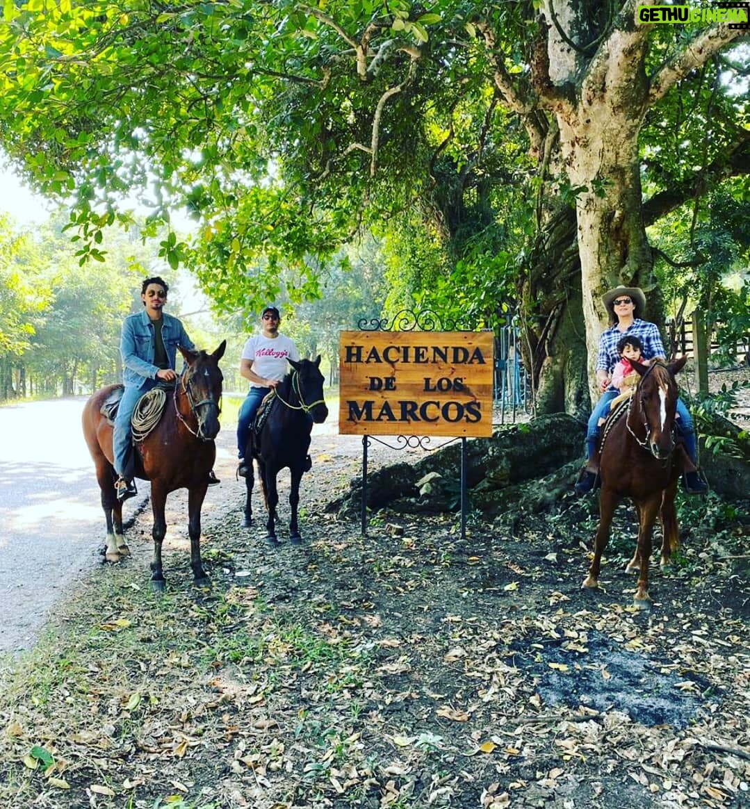 Arleth Terán - 2.6K Likes - Una de mis grandes pasiones es hacer largas cabalgatas y que mejor compañía que @leonalexanderlaet quien heredó mi gusto por los caballos. Esta es otra relajante actividad que se puede realizar en @haciendadelosmarcos lugar precioso donde nos hospedamos en #lahuastecaPotosína muy agradecida por todas sus atenciones GRACIAS @andypanda___ @analucilagr por todas tus atenciones, Adriana y Jesús nos consintieron mucho. 😘 ♥️ 🏇🇲 🇽@ivanfloresfoto @turismovalles