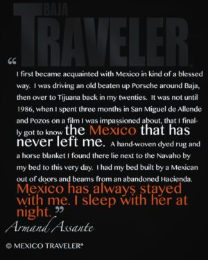 Armand Assante Instagram - ARMAND ASSANTE has adorned our MexicoTraveler®️pages… He’s a good friend and was wonderful to interview… HERE’s what HE SAID about MEXICO❤️🇲🇽. MexicoTESTIMONIALS/ GRAZIE ARMANDO🙏🏼 Photo credit: Alexander Busch-Moscow #mexicotestimonial #mexicotraveler #bajatraveler #travelerpublications #celebslovemexico #armandassante #armandassanteofficial