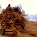 Armand Assante Instagram - Road .....a visual journal I've kept of some of the most remote places and locations I've worked in. Often moving too fast and with a fleeting glance, you still see the sheer energy of people and survival... -A • • • • • #analogphotography #armandassante #documentary #documentaries #documentarynow #documentaryphotography #eyephotomagazine #hollywoodicon #filmactor #filmhistory #films #indiefilm #independentfilm #journal #lensculture #magnumphotos #moscow #onassignment #photodocumentary #reportagespotlight #selftape #shortfilm #socialdocumentary #workingactor #actingislife Williamsburg