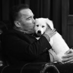 Arnold Schwarzenegger Instagram – @schwarzenegger talks Agent @statefarm tonight! #FallonTonight 

📷 @toddowyoung The Tonight Show Starring Jimmy Fallon