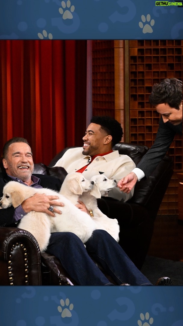 Arnold Schwarzenegger Instagram - Pup Quiz w/ @schwarzenegger & @jakefromstatefarm in partnership with @statefarm #FallonTonight The Tonight Show Starring Jimmy Fallon
