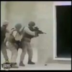 Arsha Aghdasi Instagram - War is fun.... جنگ بهانه است عمر دست خداست😁 پست موقت صرفا برای لبخند شاید تلخ حتی به غلط😬. دیگه نمیشه نوشت پراید بهانه است اینقدر گرونه نمیشه باهاش شوخی کرد😉