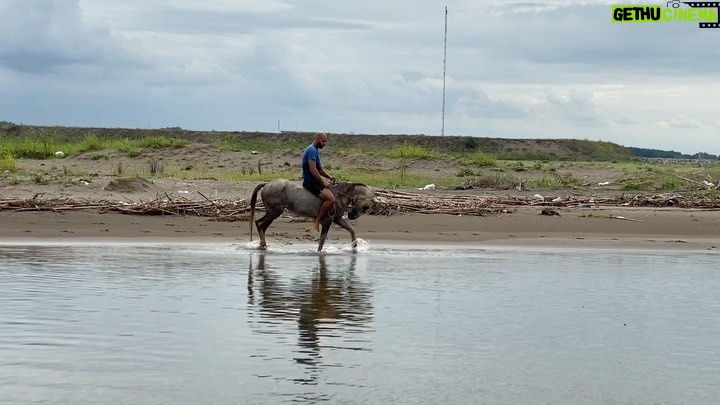 Arsha Aghdasi Instagram - I always had dreamt of swimming with horses ... Now one of my dreams came true. It happened with savage and free horse 🐎 ——— همیشه آرزو داشتم که با اسب تو آب شنا کنم... امروز بالاخره یکی دیگه از آرزو هام خاطره شد.... اونم با چه اسبی..... اسب های آزاد و رهای دشت. به به.... لطفا آرزو های کوچیک و بزرگتون رو نادیده نگیرید اونها در قشنگ ترین موقع اتفاق می افتن، به شرطی که شما هم بهشون توجه کنید. #ارشااقدسی #بدلکار #پارک_ملی_بوجاق #arshastunt #persianhorse #caspianhorse #اسب_کاسپین #arshaaghdasi #arsha arsha13 Ziba Kenar, Gilan, Iran