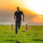 Arsha Aghdasi Instagram - You write a caption... کپشن عکس با شما... #goldenretriever #freedom #reallife #feelinggood #sunset #greenfield #احساس_خوب #زندگی #واقعیت #دشت_بوجاق Am not runner ... i don’t pretend ... i am who i am. Photo by: @roshanghanbary @afreshfilm Kiashahr Boujagh National Park پارک ملی بوجاق بندر کیاشهر