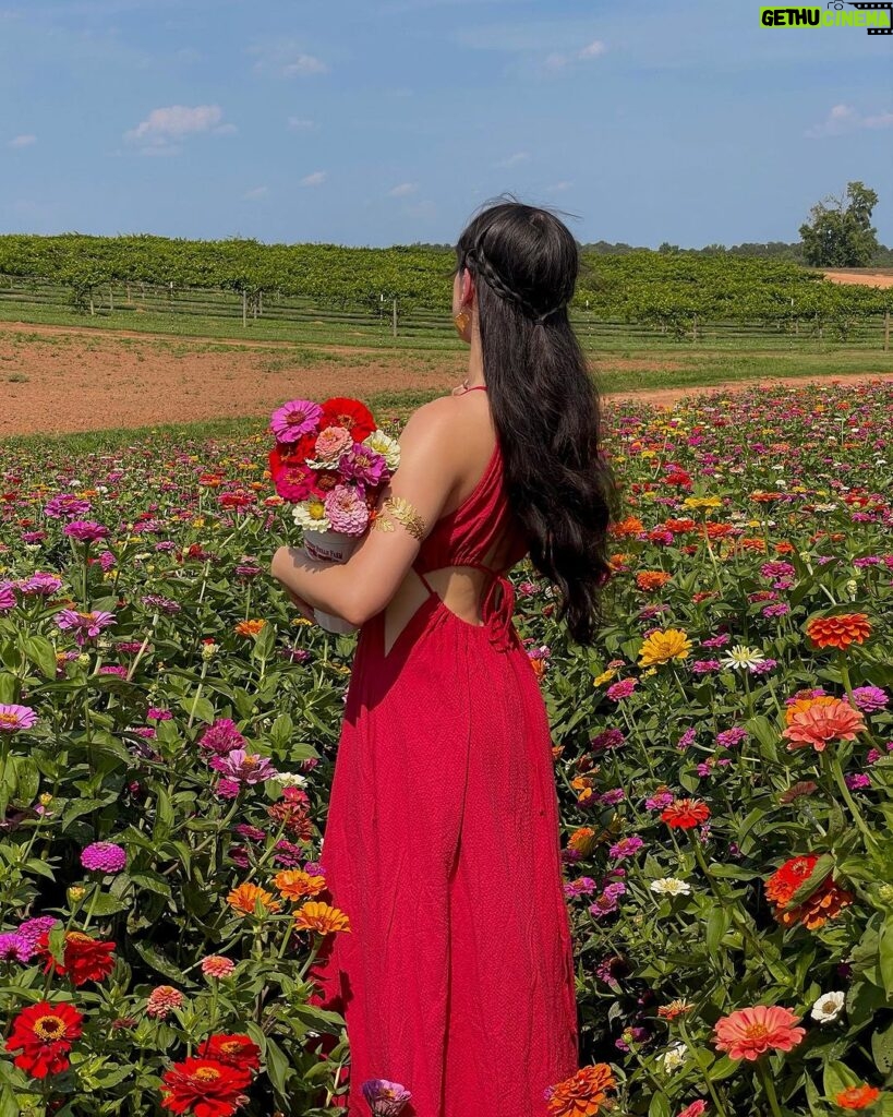 Artemis Instagram - flower girl 💐 Southern Belle Farms