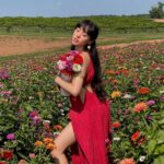Artemis Instagram – flower girl 💐 Southern Belle Farms