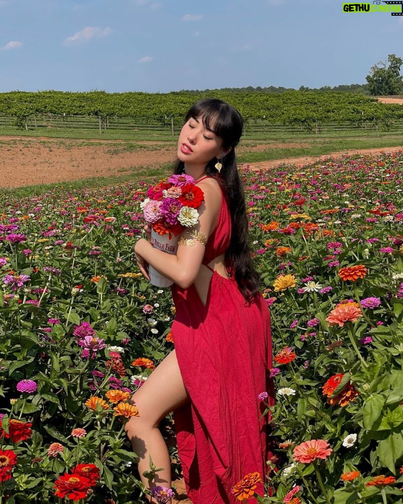 Artemis Instagram - flower girl 💐 Southern Belle Farms