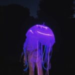 Asa Butterfield Instagram – A big, steaming, summer dump.