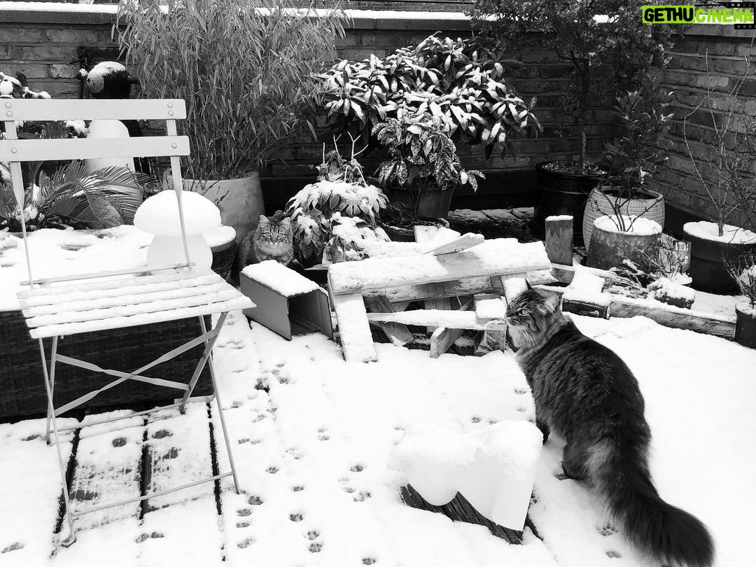 Asa Butterfield Instagram - I’m raising snow leopards.