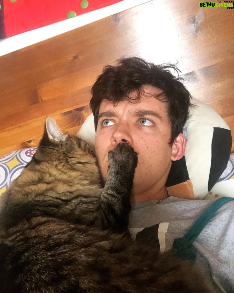Asa Butterfield Instagram - Come here human, I have a secret to tell you.
